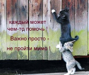 Мысли вслух #мысливслух