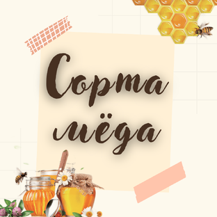 Сорта мёда
