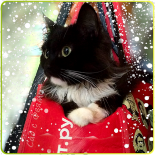 Новогодние идеи