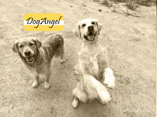 Воспитательно-Полезное