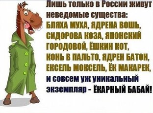 Минутка юмора