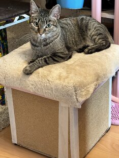 Переделка мебели 