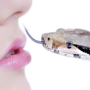 Короткие видео