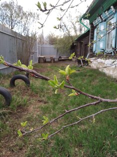 Дом у озера. 