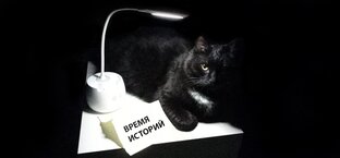 Гостевые посты