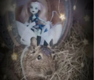 Карты Таро...