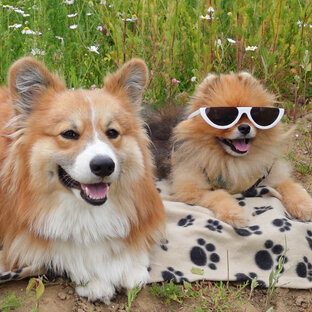 Полезные посты