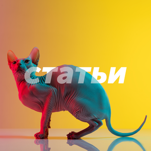 Статьи