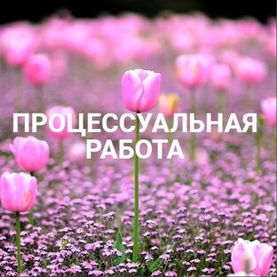Процессуальная работа 