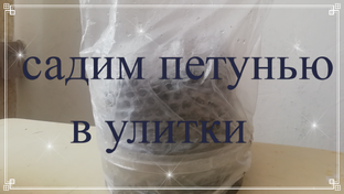 сама садик я садила