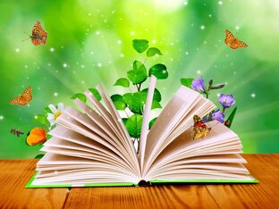 Книжмышлизмы