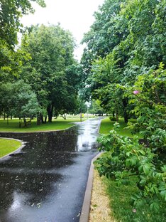 Сквер, Садовник. 