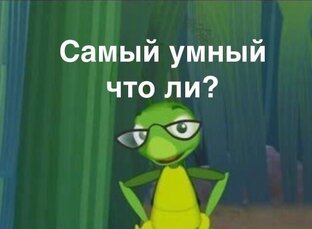 Россия 