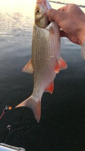 Летняя рыбалка