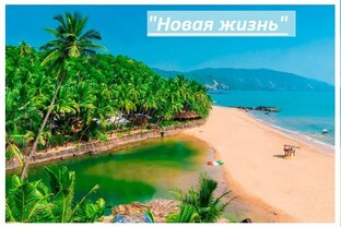 Рассказ "Новая жизнь"