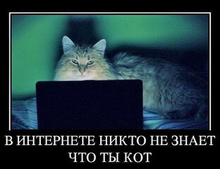 Запутанная история