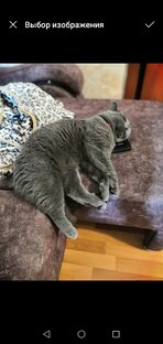 И только голова коснулась подушки... 
