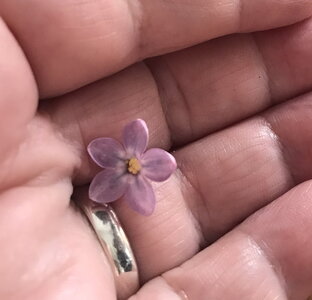 Психология