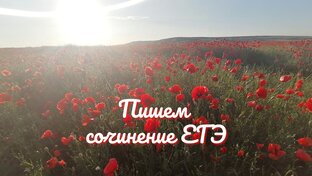 Сочинение ЕГЭ по русскому языку