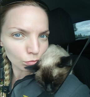 МКБ у кошек и котов и всё, что с этим связано