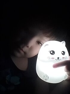 Кошка карина 