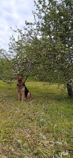 Султан и его новая жизнь 🙏🏻