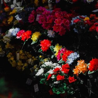 Растения и цветы на могиле