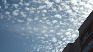 раннее детство сына