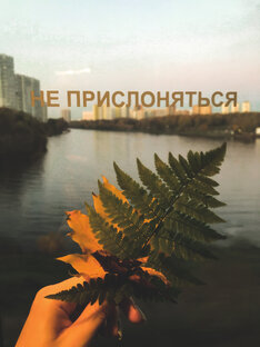 Фрагменты о книгах и писательстве 