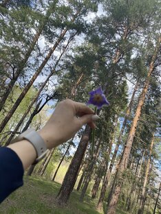 📌Национальный парк Бузулукский Бор