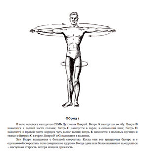 Око Возрождения. Анализ.