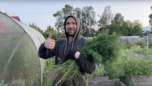 Натуральные удобрения