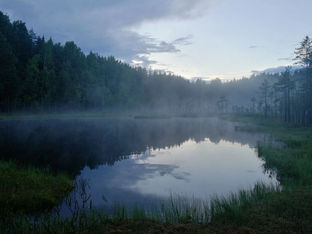 Лужский приключенческий рогейн 2022
