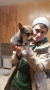 Мой зоопарк🐕🐕🐕🐱🐱🐱🐱