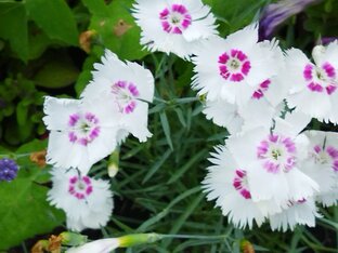 Немного о себе