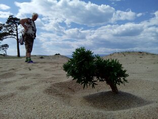 Мои мысли - мои скакуны, Попова Марина