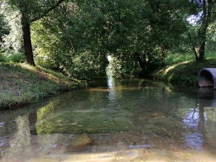 Петергоф сегодня и вчера