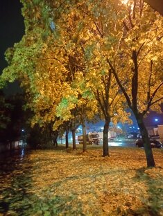 Как прекрасен этот мир! Посмотри!