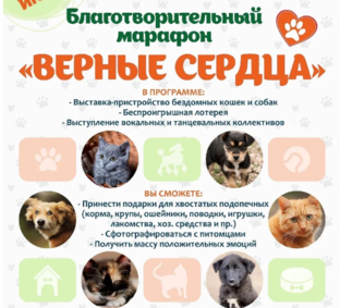 Марафоны