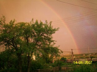 Жизнь и её проявления...