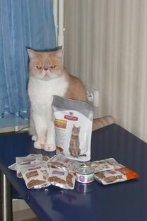 Жизнь удалась!