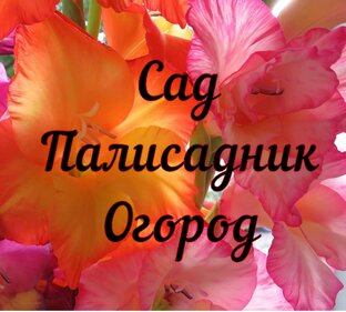 Сад Огород 