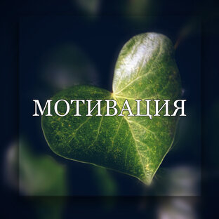 НеВолшебный пинок 