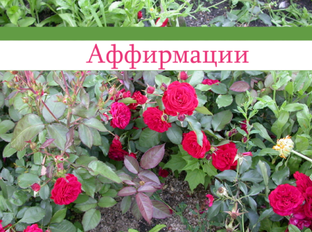 Аффирмации