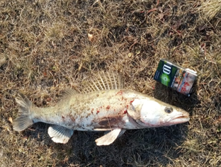 Правильный рыбак