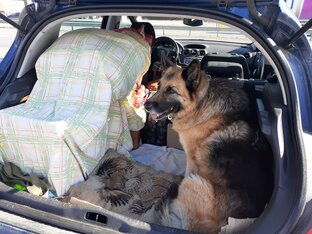 Поездки на Кубань