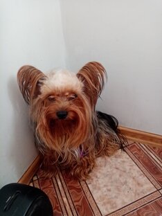 Мои рассказы.