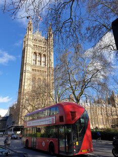 Путешествия