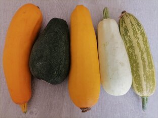 Мои заготовки. 