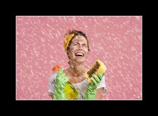 Домашние хозяйство 